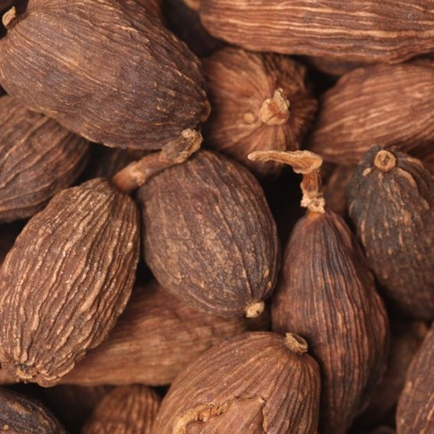 Cardamom chinese 1