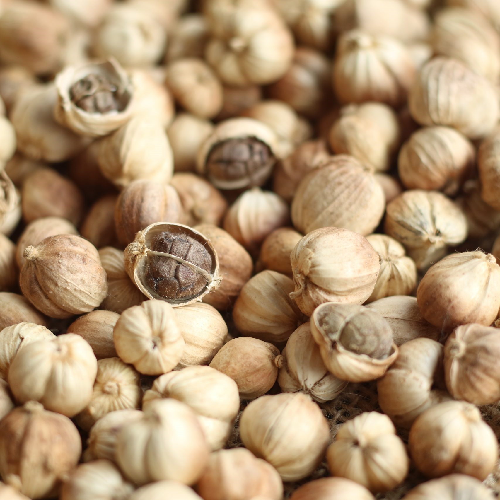 Cardamom white 1